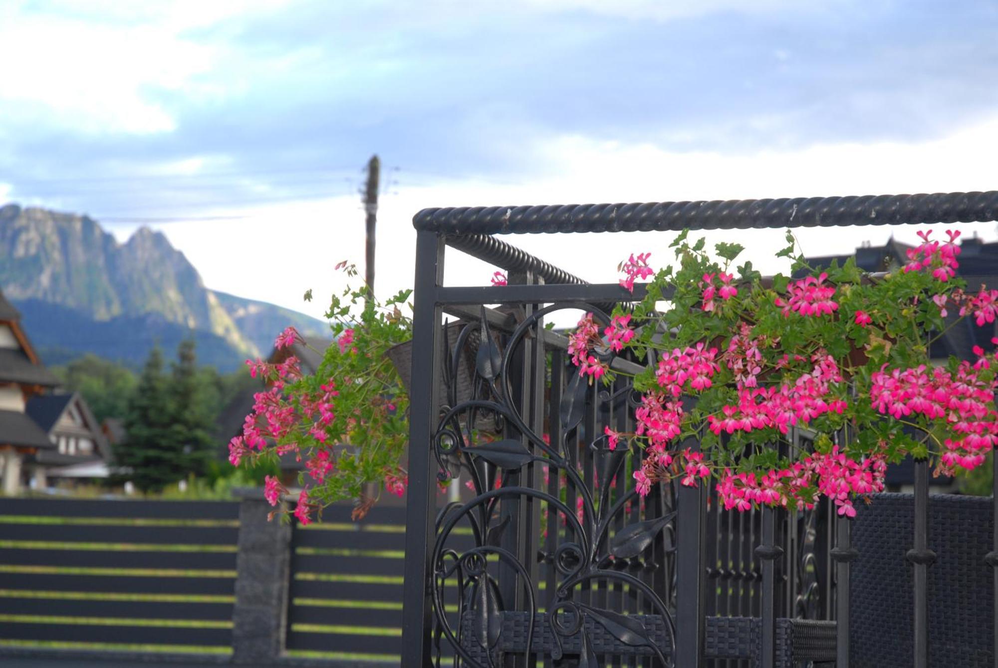 "Czarna Turnia "Zakopane Bed & Breakfast Luaran gambar
