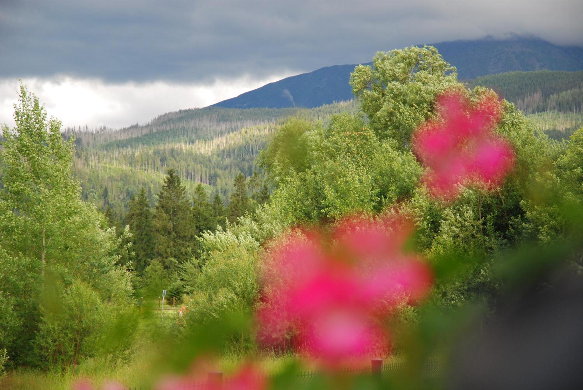 "Czarna Turnia "Zakopane Bed & Breakfast Luaran gambar