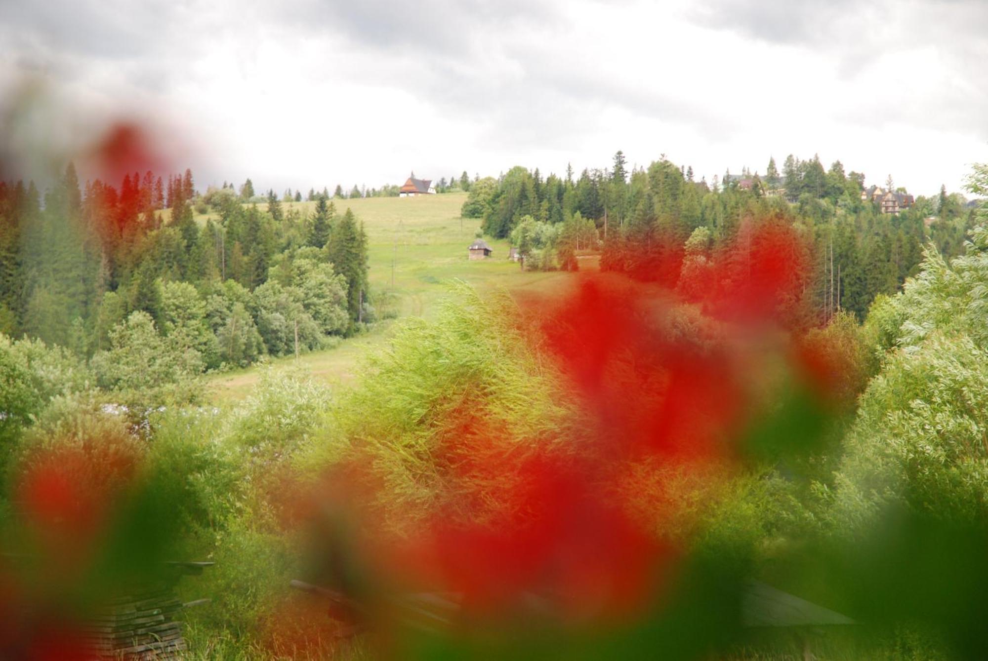"Czarna Turnia "Zakopane Bed & Breakfast Luaran gambar